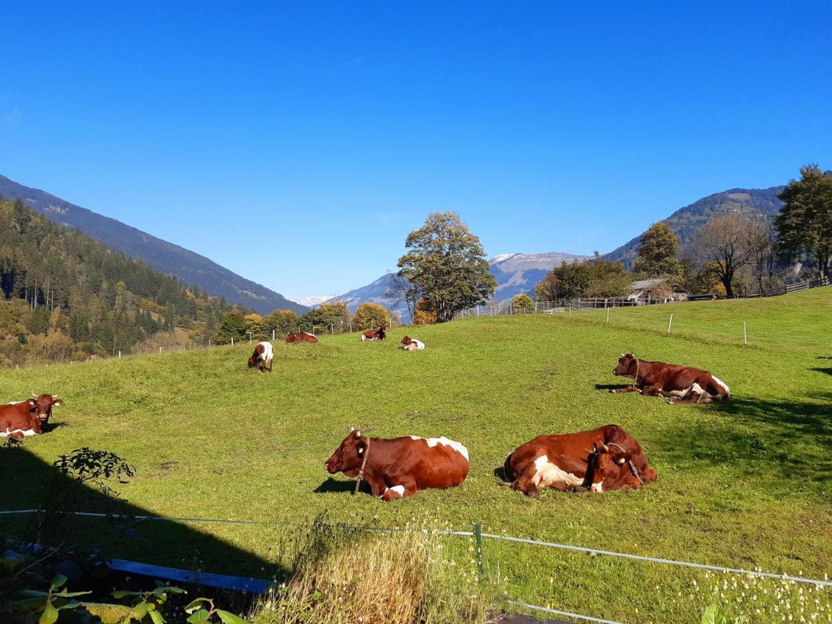 Appartamento Hoislbauerngut Bad Hofgastein Esterno foto