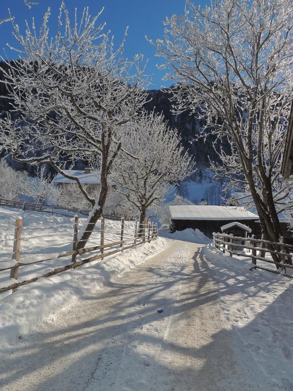 Appartamento Hoislbauerngut Bad Hofgastein Esterno foto
