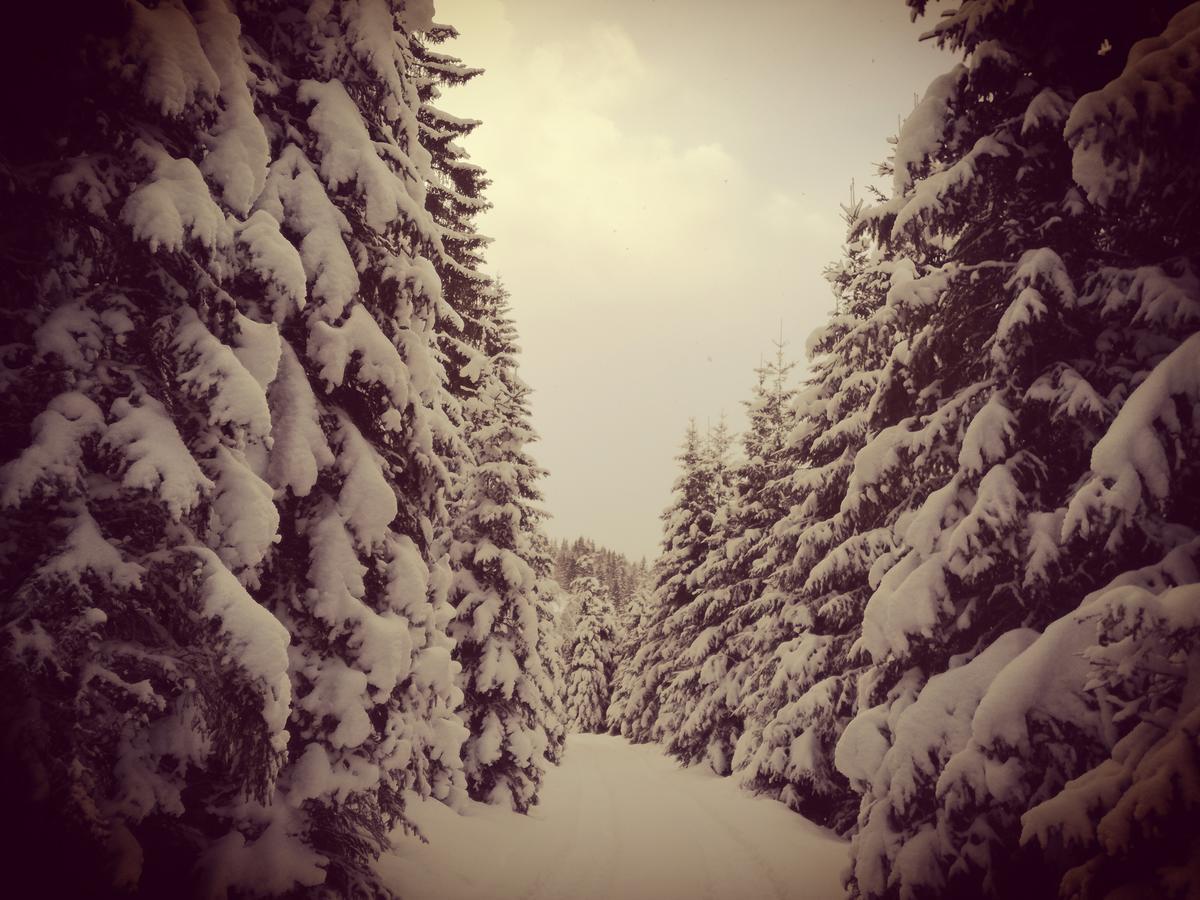 Appartamento Hoislbauerngut Bad Hofgastein Camera foto